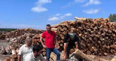 Hatay Orman Bölge Müdürü Günay, Sahil Orman Deposu'nda barkodlu ürünleri inceledi