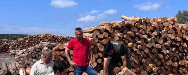 Hatay Orman Bölge Müdürü Günay, Sahil Orman Deposu'nda barkodlu ürünleri inceledi