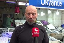 Sinop'ta balıkçılar 25 günde bol palamut tuttu ancak gelir masrafları karşılamıyor