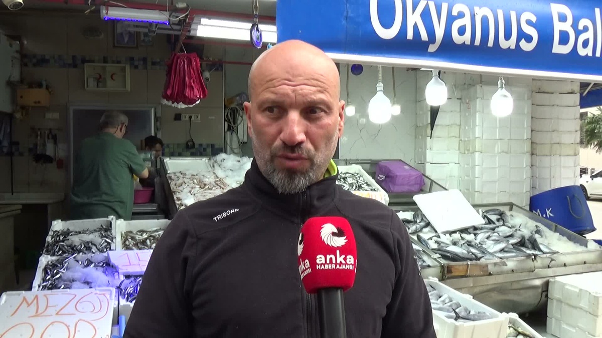 Sinop'ta balıkçılar 25 günde bol palamut tuttu ancak gelir masrafları karşılamıyor