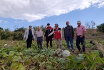 Tekirdağ İl Tarım ve Orman Müdürü Aksoy, bal kabağı üreticisini ziyaret etti