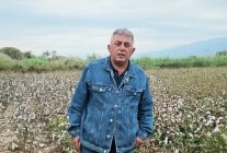 Aydın Nazilli'de pamuk üreticisi mazotun litresi 30'dan 100 liraya çıkınca zorlanıyor